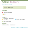 Fiche descriptive de Potiron Red curry