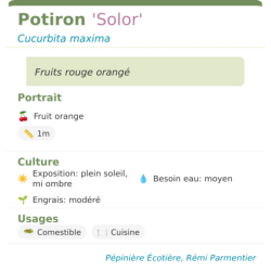 Fiche descriptive de Potiron Solor