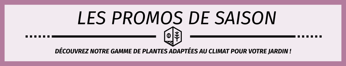 Les promos de saisons !