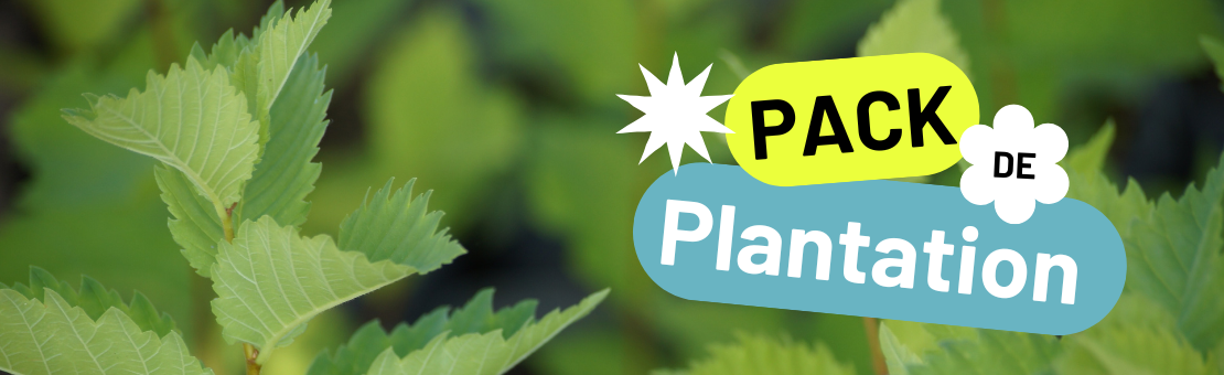 Nos pack de plantation d'arbres de haie sont livrés prêts à planté !