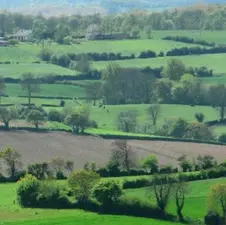 Paysage de bocage, des haies et des champs